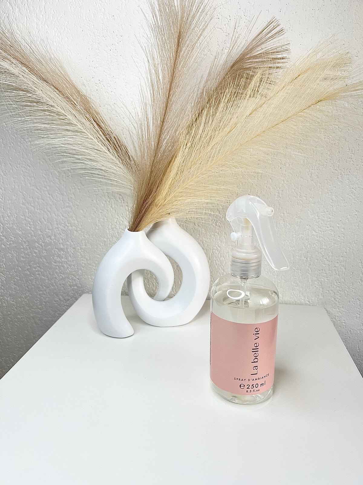 SPRAY D'INTERIEUR