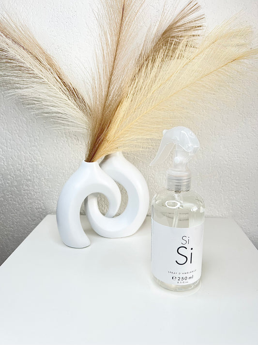 SPRAY D'INTERIEUR