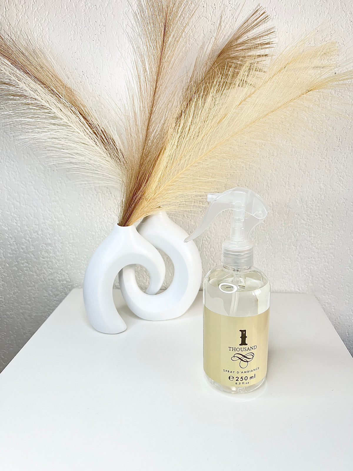 SPRAY D'INTERIEUR